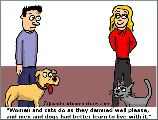 T3-cat-quotations.jpg