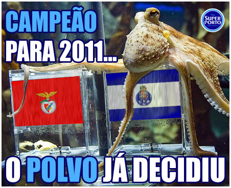 polvo.jpg