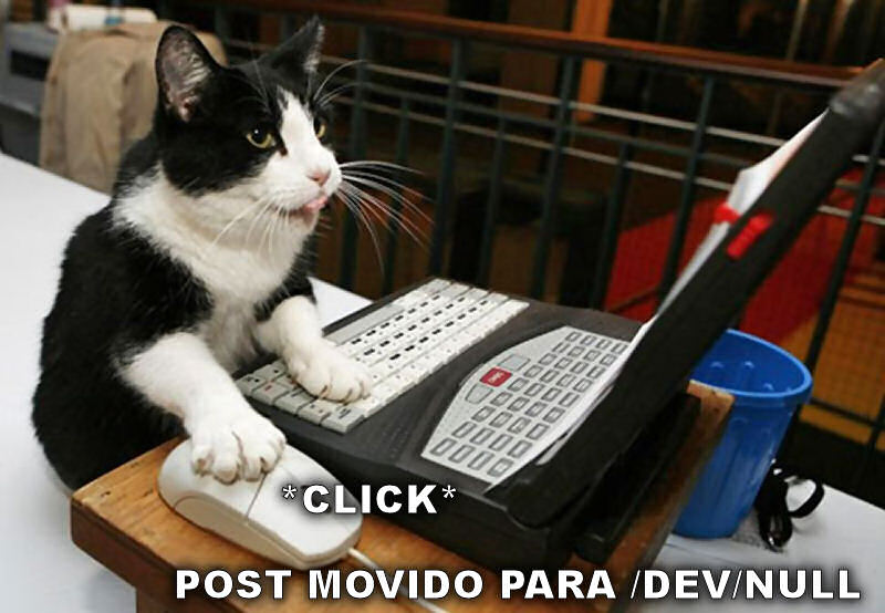 MODCAT.jpg