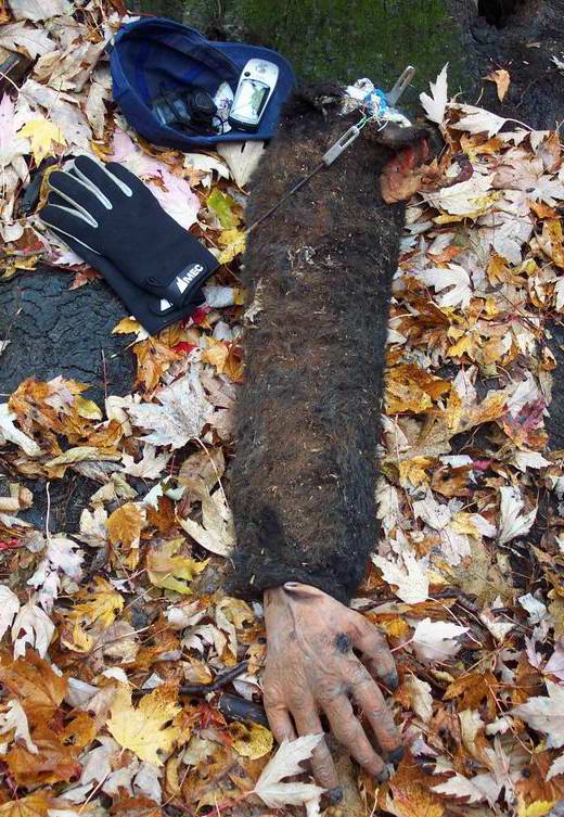 Bizarre container 1.jpg