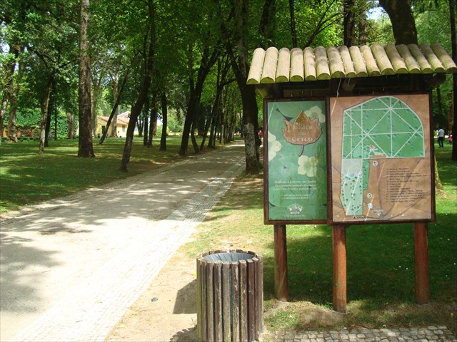bc52976d-0992-4e33-bd61-d7d1ce511843_l.jpg